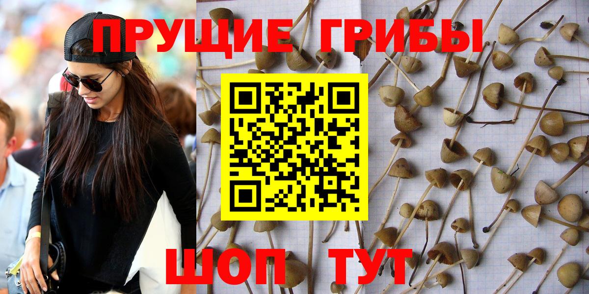 Ессентуки  Галлюциногенные грибы GOLDEN TEACHER  Вход с VPN  Псилоцибиновые грибы мицелий 