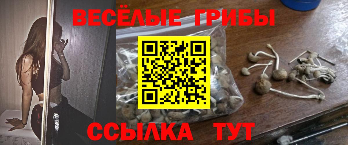 Псилоцибиновые грибы прущие грибы Ессентуки